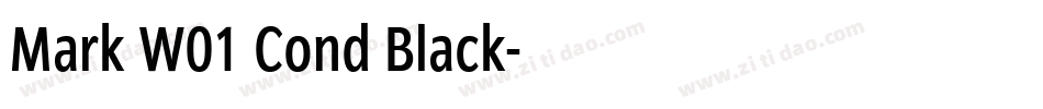 Mark W01 Cond Black字体转换